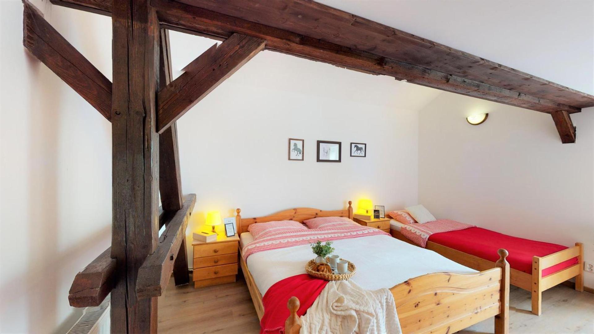 Pension U Sebastiana Hodousice Habitación foto